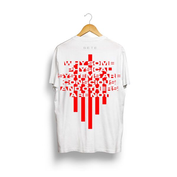 CAMISETA SETE «PHYSICAL SYSTEMS»